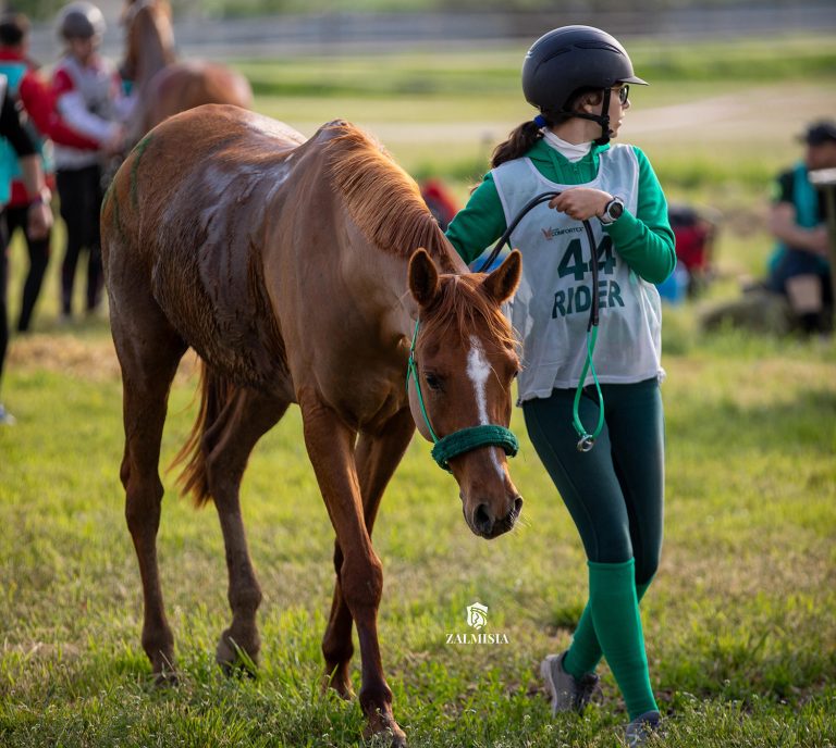 Andreea Beatrice Cristache